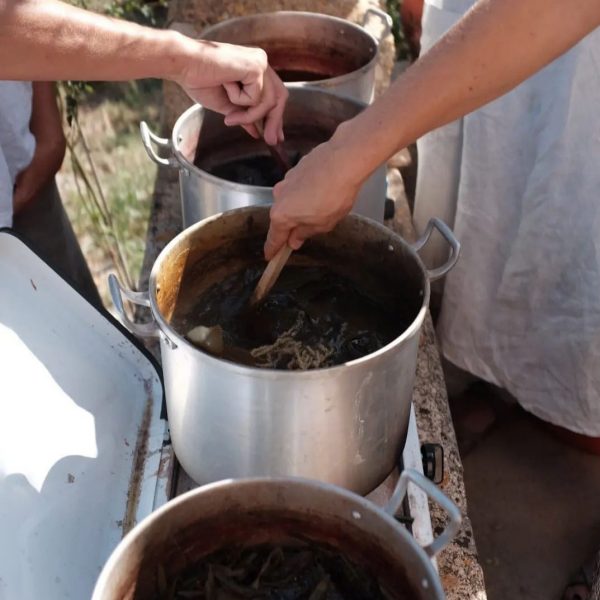 WhatsApp Image 2024-03-28 at 19.45.33 (1)