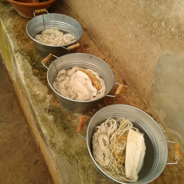 WhatsApp Image 2024-03-28 at 19.45.34 (2)