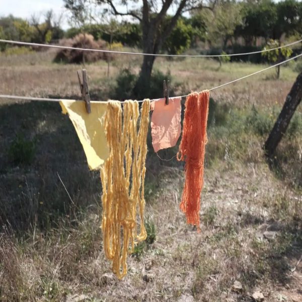 WhatsApp Image 2024-03-28 at 19.45.34