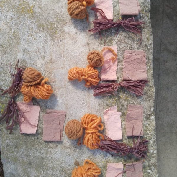 WhatsApp Image 2024-03-28 at 20.49.27 (2)