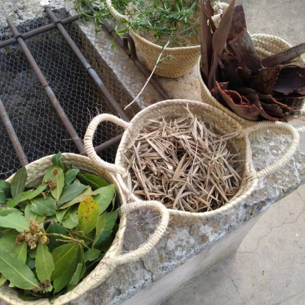 WhatsApp Image 2024-03-28 at 20.49.28