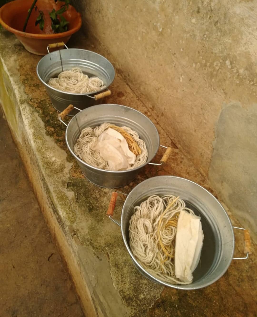 WhatsApp Image 2024-03-28 at 19.45.34 (2)