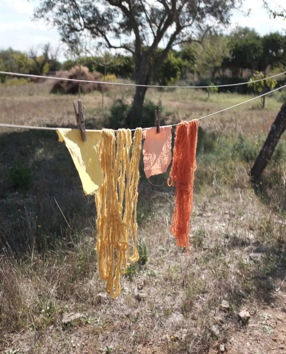 WhatsApp Image 2024-03-28 at 19.45.34