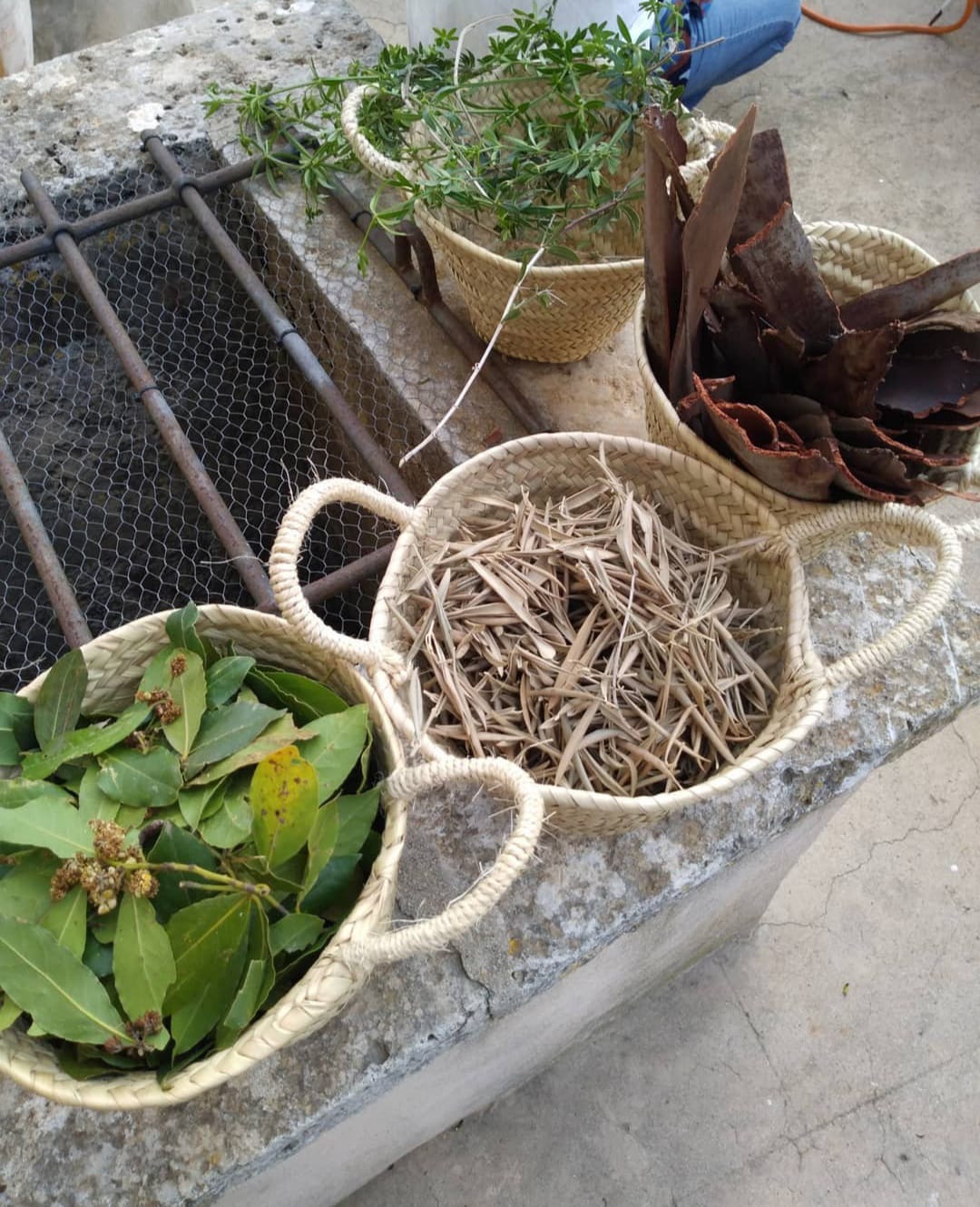 WhatsApp Image 2024-03-28 at 20.49.28